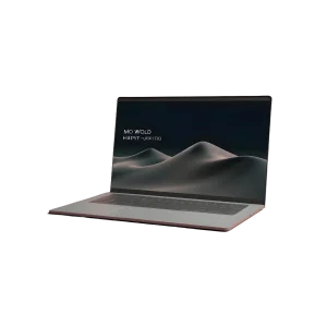 18-laptop2